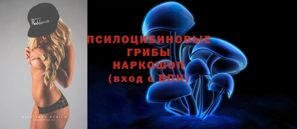хмурый Карпинск