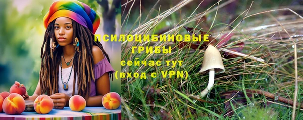 герыч Касимов